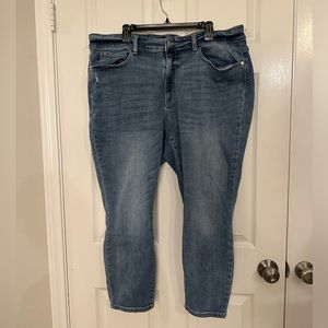 Judy Blue 22W Skinny Jeans